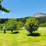 Dolomiti Apartament