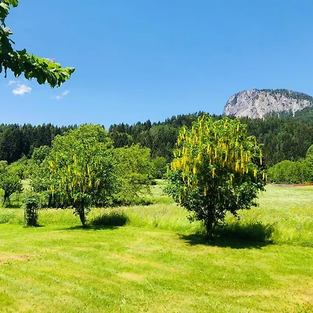 Dolomiti Appartamento