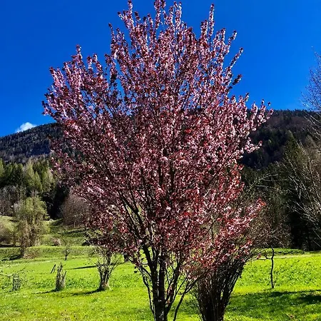Dolomiti *